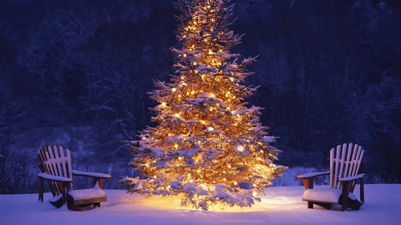 New-Year-Tree-Wallpaper-17