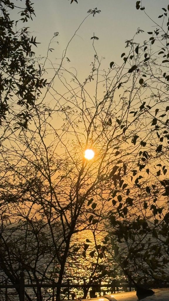 Gerçek sevgi, gerçek anlayış toprağa ektiğin tohumun ağaç olmasını istemek değildi. Büyüsün diye, çırpınmak hiç değildi.